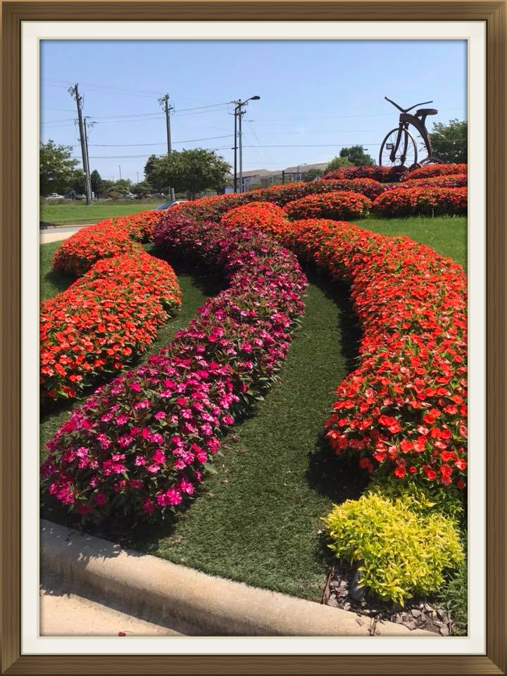 business and commercial flower bedding